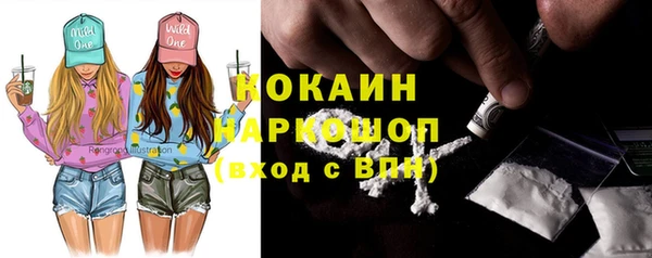шишки Арсеньев