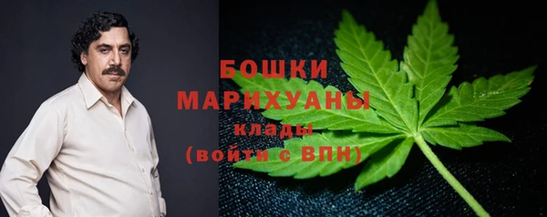 шишки Арсеньев