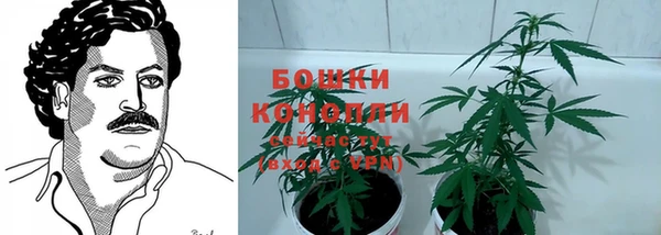 бошки Армянск