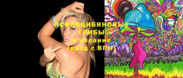 шишки Арсеньев