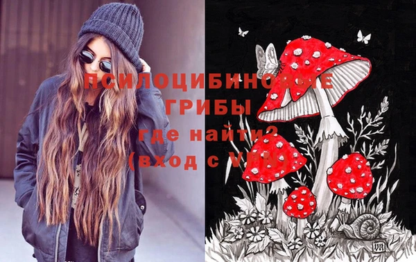 шишки Арсеньев