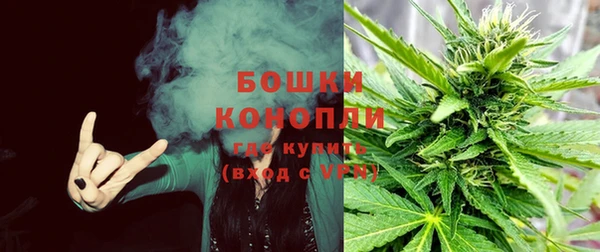шишки Арсеньев