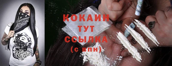шишки Арсеньев