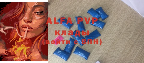 шишки Арсеньев